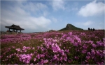 산청군, 황매산 철쭉 관광홍보단 모집 이벤트 실시