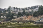 한국걷기동호회연합