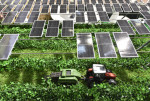 트렌드 토픽 영농형 태양광이 독일 뮌헨 2023 인터솔라 유럽에서 발표될 예정이다(사진: 솔라 프로모션)