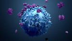 T cells helping immune system to fight cancer cells in response to immunotherapies (Photo: Business Wire)