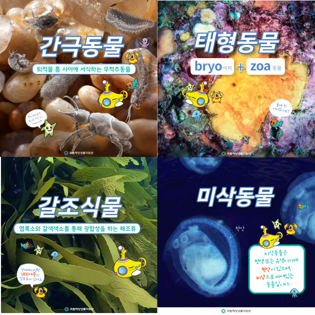 국립해양생물자원관 해양생명자원 카드뉴스