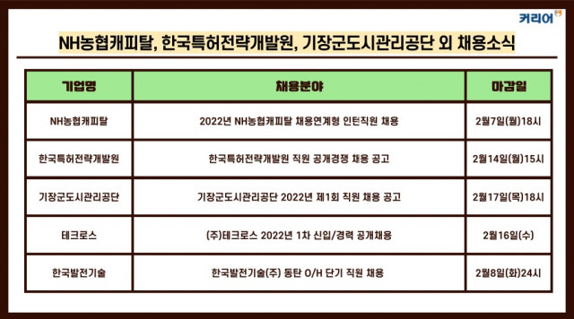 취업 포털 커리어가 NH농협캐피탈, 한국특허전략개발원, 기장군도시관리공단, 테크로스, 한국발전기술의 채용 소식을 발표했다