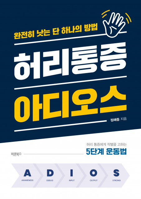 허리통증 아디오스, 정해중 지음, 바른북스 출판사, 248p, 1만7500원