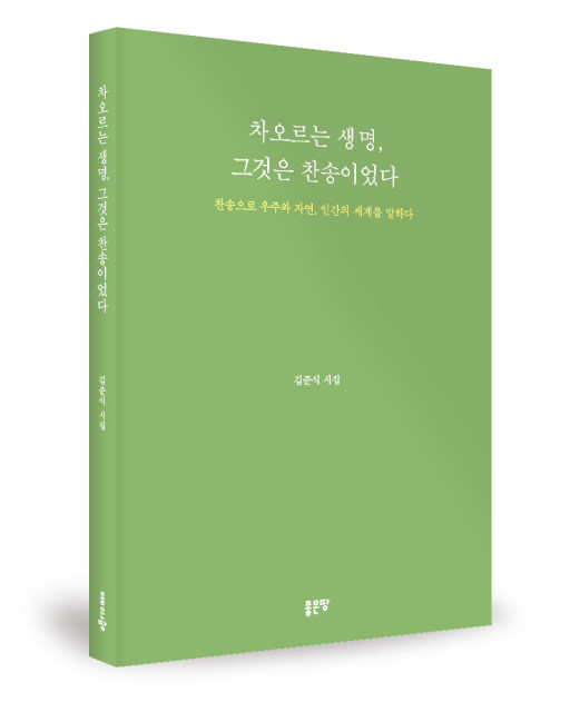 김준식 지음, 좋은땅출판사, 196쪽, 1만5000원