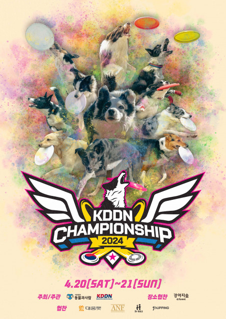 국제 디스크도그 대회 ‘KDDN 챔피언십 2024’ 포스터