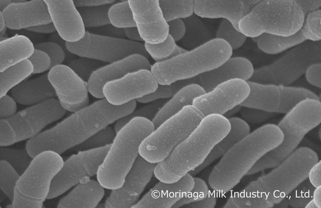 Bifidobacterium infantis M-63 is a unique probiotic strain of human-residential bifidobacteria (HRB) – bifidobacteria that naturally reside in the human gut – and is renowned for its ability to utilize human milk oligosaccharides (HMO) found in breast milk, significantly improving the intestinal environment of healthy full-term infants. (Graphic: Business Wire)