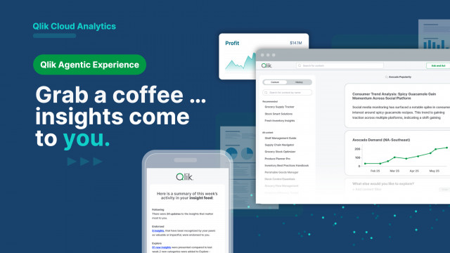 Qlik Analytics Experience