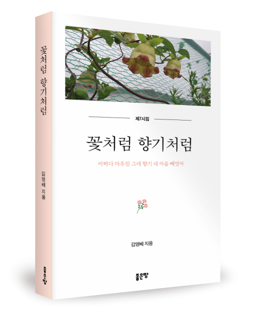 김영배 지음, 좋은땅출판사, 316쪽, 1만7000원