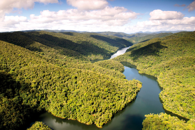 (Credit: Reservas Votorantim) Images of Legado das Águas – Atlantic Forest Reserve in Brazil