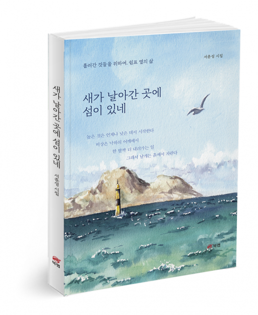 새가 날아간 곳에 섬이 있네, 서춘성 지음, 224쪽, 1만4000원