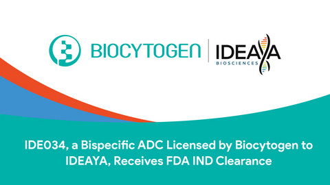 IDE034, a Bispecific ADC Licensed by Biocytogen to IDEAYA, Receives FDA IND Clearance