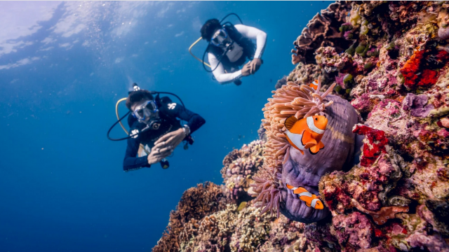 한국 소비자, 스쿠버다이빙 ‘잠재 수요’ 크다… 일본 대비 개방성도 뚜렷