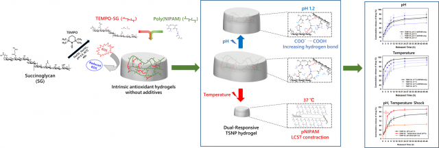 연구 관련 모식도