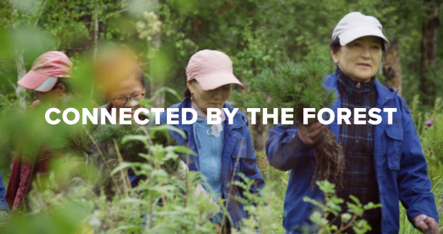 UNDP Seoul Policy Centre’s video ‘Connected by the Forest’, released to mark the International Day of Forests, highlights forest protection and restoration efforts in Mongolia (Provided by UNDP Seoul Policy Centre)