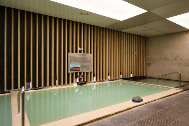 제주 디아넥스 아라고나이트 고온천