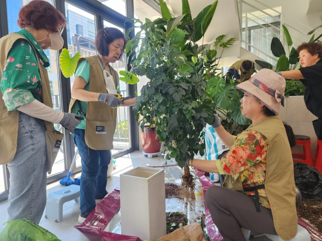 서초구립중앙노인종합복지관 ‘서리풀 가드너’ 회원들의 가드닝 활동 모습