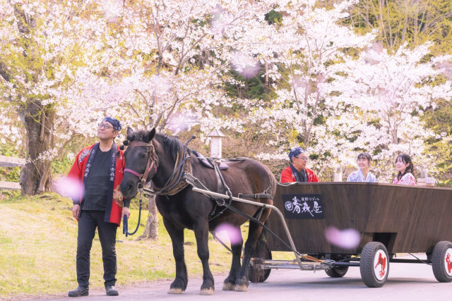 여행의 속도를 낮추는 시작, ‘봄 고타츠 마차 체험’