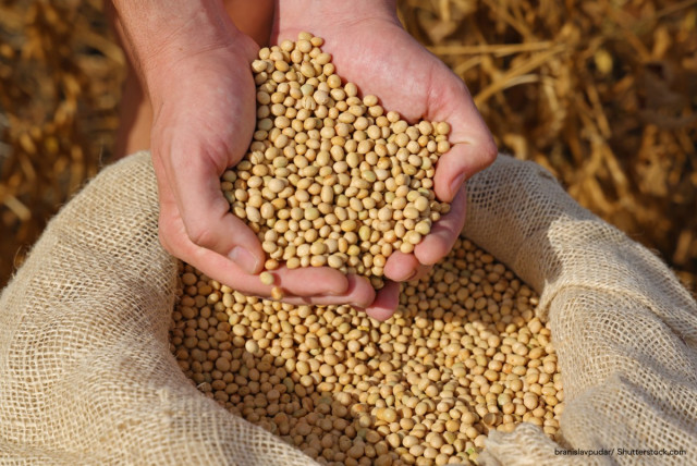 First heart health claim approved for soy protein in Australia and New Zealand.