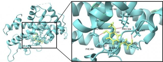 AI 분자 모델링 기술을 활용한 ‘페룰릭산’ 효능 실험