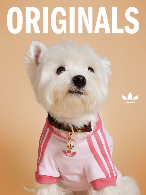 아디다스 오리지널스가 반려동물을 위한 펫 컬렉션을 출시한다