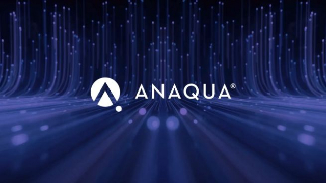 현재 미국 상위 100대 특허 출원 기업의 약 절반과 글로벌 주요 브랜드, 그리고 전 세계 다수의 로펌이 Anaqua의 솔루션을 사용하고 있다