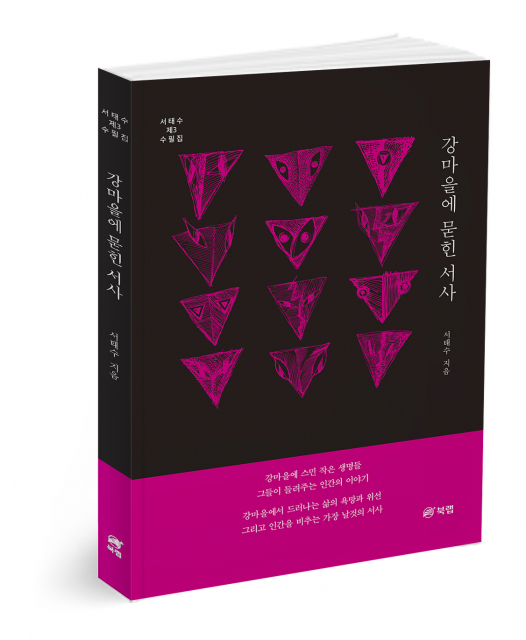 강마을에 묻힌 서사, 서태수 지음, 190쪽, 1만6700원