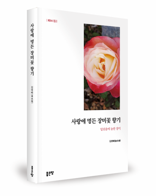 김영배 지음, 좋은땅출판사, 304쪽, 1만9000원