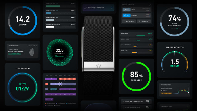 WHOOP Expands Health Platform with On-Demand Clinician Access and New AI Features
