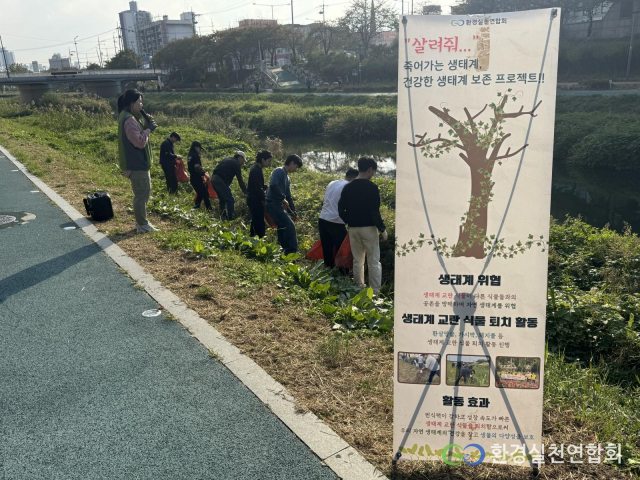 환경실천연합회 ‘하천 생태계를 잇는 초록’ 사업에 참여한 시민들이 교란식물 퇴치를 통해 토종식물의 서식 공간을 확보하고 있다