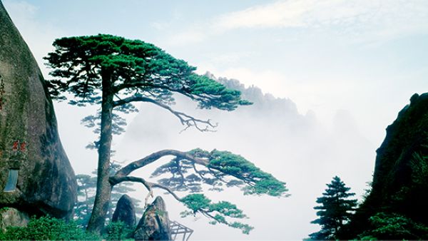 중국 동부 안후이성 남부에 위치한 황산(Huangshan)은 ‘옐로 마운틴(Yellow Mountain)’으로도 알려진 유명 산악지대로, 웅장한 화강암 봉우리와 고송(古松), 장관을 이루는 운해로 널리 알려져 있다(이미지 제공=황산관광개발)