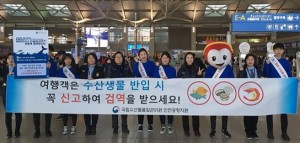 국립수산물품질관리원이 인천공항에서 해외 여행객을 대상으로 수산물 검역제도를 홍보하고 있다
