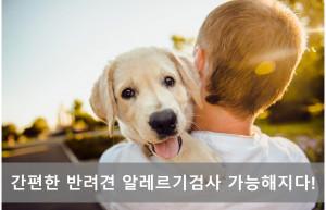 프로테옴텍이 ‘반려견 알레르기 2열 라인 진단법’으로 신기술 인증을 획득했다