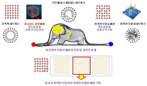 질서(빨간 점, 보아뱀의 꼬리)와 완전한 무질서(파란 점, 보아뱀의 머리)는 물리적/통계적으로 엄밀하게 정의된 매질 상태이다. 그 중간 영역(보아뱀의 배 안)에는 수많은 자유도를 가진, 회색 영역(코끼리)이 존재한다. 무질서 광학의 목표는 이 중간 영역을 분류하고 그중에서 기능적으로 ‘똑똑한’(코끼리의 머리) 매질을 찾아내 여러 공학적 기능을 구현하는 것이다. 이를 위해 전자기학/양자역학 등 물리적 개념과 네트워크 이론, 머신러닝 등의 기법이 적극 활용되고 있다