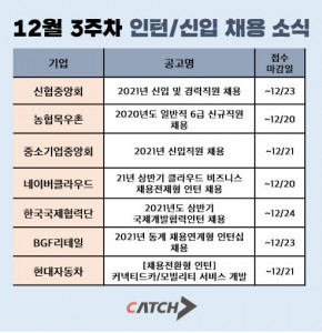 캐치가 공개한 12월 3주차 인턴, 신입 채용소식