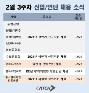 캐치가 공개한 2월 3주차 신입 및 인턴 채용 소식