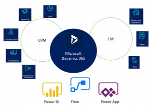 트루인포가 Microsoft365 Dynamics365와 관련한 무료 웨비나를 연다