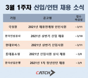 캐치가 공개한 3월 1주차 신입 및 인턴 채용 소식