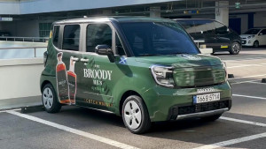 ‘더 브루디 헨’ 아트 카