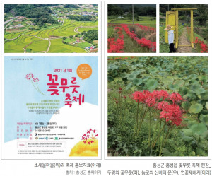 충남 홍성 소새울마을 꽃무릇축제 포스터 및 현장 전경