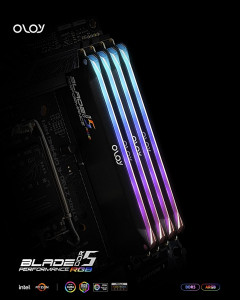 올로이앤코가 올로와이(OLOy) DDR5-5600 CL36 BLADE RGB Black 메모리 패키지 모델을 정식 출시했다