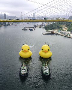 DOUBLE DUCKS by Florentijn Hofman, organised by AllRightsReserved, will see two rubber ducks take pride of place in Victoria Harbour from 10–23 June. ...