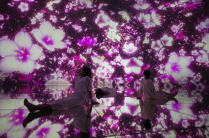 Flowers grow, bud, bloom, and in time, the petals fall, and the flowers wither and die. At teamLab Planets, a body immersive museum in Toyosu, Tokyo. (teamLab, Floating in the Falling Universe of Flowers / Photo: teamLab)