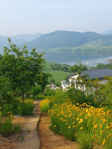 금계국이 만발한 산책길에서 내려다 본 남한강 전경. 매년 5월~7월에는 금계국 꽃이, 7월~9월에는 배롱나무 꽃이 만개하는 500여m 길이의 남한강캐슬 산책길이 조성됐다