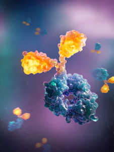 Image rendering of OmniAb’s OmnidAb™, a stabilized fully human heavy chain only single domain antibody (Graphic: Business Wire)
