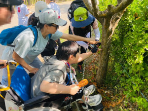 함께하는숲의 ‘숲 체험 교육’에 참여한 장애·특수학급 어린이들