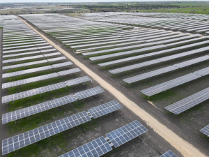 한화큐셀이 2021년 완공한 미국 텍사스주 168MW 규모 태양광 발전소