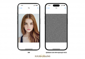 포체인스의 이미지 암호화 솔루션: 원본과 처리 후 비교 예시