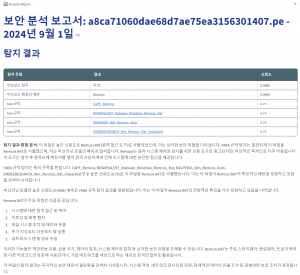 ‘Meta Semantics 플랫폼 기반의 악성코드 분석 리포팅 결과’ 화면 캡처 일부