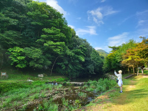 고창의 숨은 비경, 람사르습지 전경