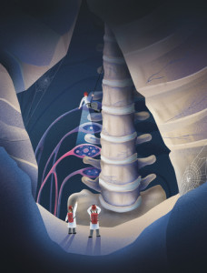 Image created by Clara Leibenguth for Stanford University; featured on cover of May 2025 issue of Nature Neuroscience.